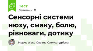 Сенсорні системи нюху, смаку, болю, рівноваги, дотику