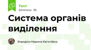 Система органів виділення 