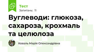 Вуглеводи: глюкоза, сахароза, крохмаль та целюлоза