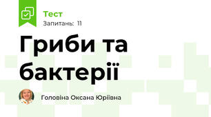 Гриби та бактерії