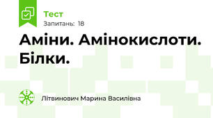 Аміни. Амінокислоти. Білки.