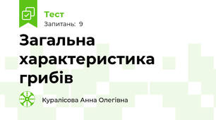 Загальна характеристика грибів