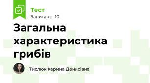 Загальна характеристика грибів