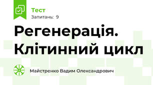 Регенерація. Клітинний цикл