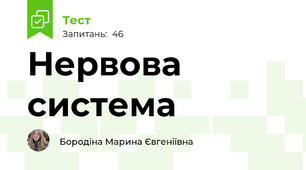 Нервова система