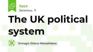 The UK political system