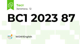 ВС1 2023 87