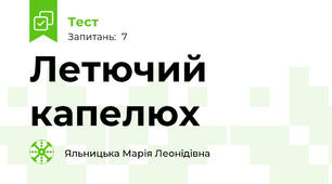 Летючий капелюх 🛸
