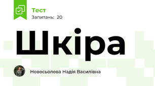     Шкіра