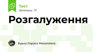 Розгалуження
