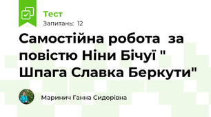 Самостійна робота  за  повістю Ніни Бічуї " Шпага Славка Беркути"
