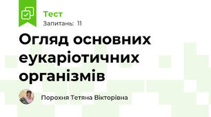  Огляд основних еукаріотичних організмів