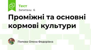 Проміжні та основні кормові культури