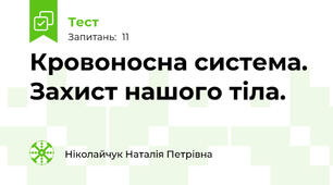 Кровоносна система. Захист нашого тіла.