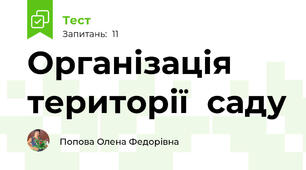 Організація  території  саду