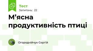 М’ясна продуктивність птиці