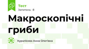 Макроскопічні гриби