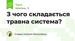 З чого складається травна система?