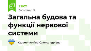 Загальна будова та функції нервової системи