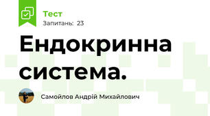Ендокринна система.