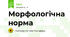Морфологічна норма