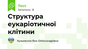 Структура еукаріотичної клітини