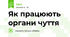 Як працюють органи чуття