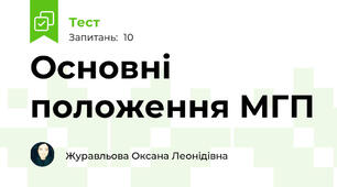 Основні положення МГП