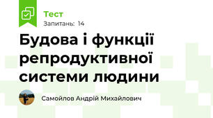 Будова і функції репродуктивної системи людини