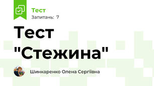 Тест "Стежина"