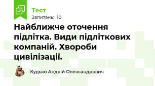 Найближче оточення підлітка. Види підліткових компаній. Хвороби цивілізації.