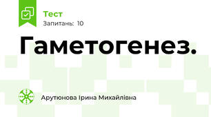 Гаметогенез. 