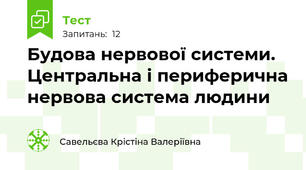 Будова нервової системи. Центральна і периферична нервова система людини
