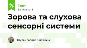Зорова та слухова сенсорні системи