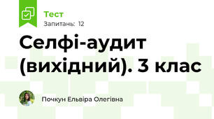 Селфі-аудит (вихідний). 3 клас