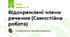 Відокремлені члени речення (Самостійна робота)