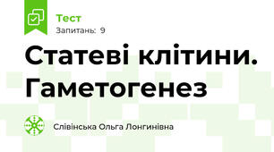 Статеві клітини. Гаметогенез