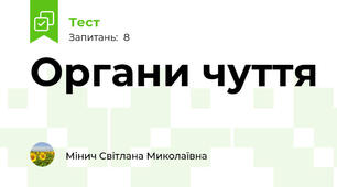 Органи чуття