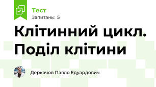 Клітинний цикл. Поділ клітини
