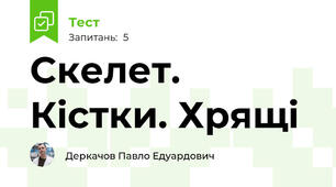 Cкелет. Кістки. Хрящі