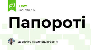 Папороті