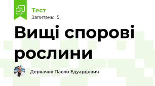 Вищі спорові рослини