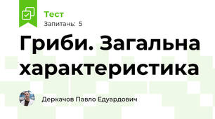 Гриби. Загальна характеристика