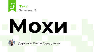Мохи