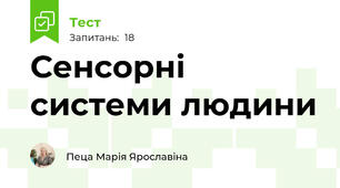 Сенсорні системи людини