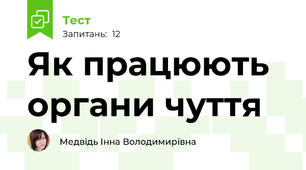 Як працюють органи чуття