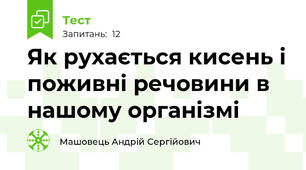 Як рухається кисень і поживні речовини в нашому організмі