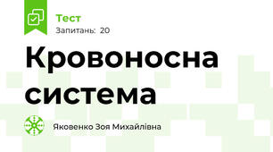Кровоносна система