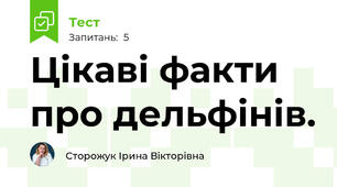 Цікаві факти про дельфінів.