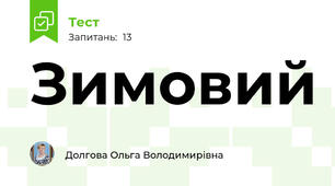 Зимовий